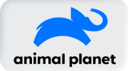 82 ANIMAL PLANET
